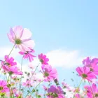 リハビリ